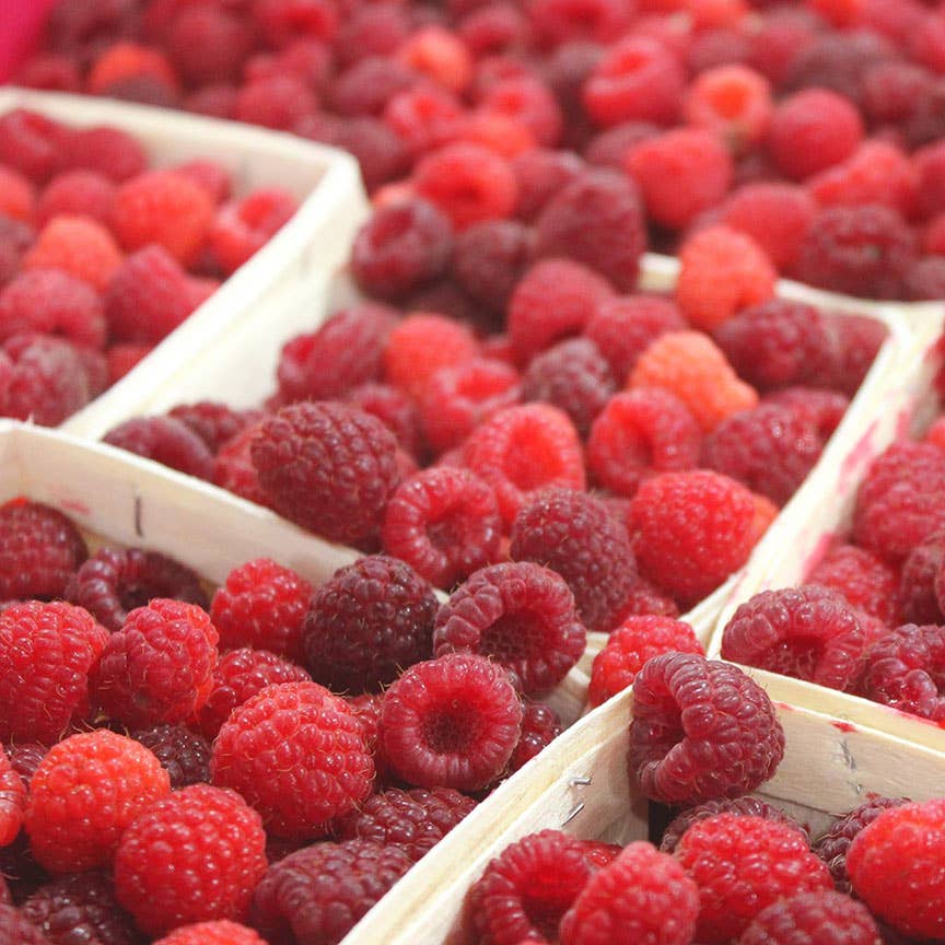 Blake Hill Preserves - Raspberry Mostarda