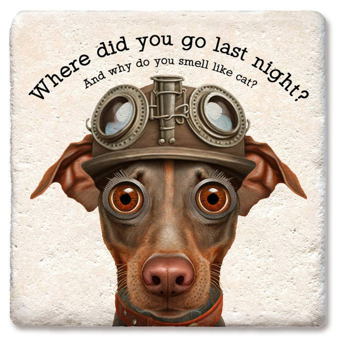 Drink Coaster - Where did you go last night?