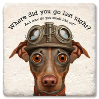 Drink Coaster - Where did you go last night?