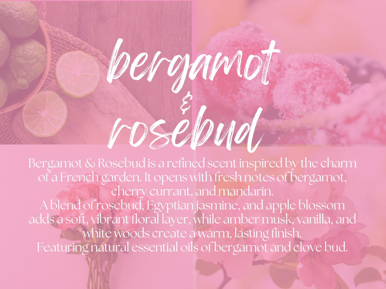 "Bye Felicia" - Bergamot & Rosebud Foaming Sugar Scrub- eScentually Yours