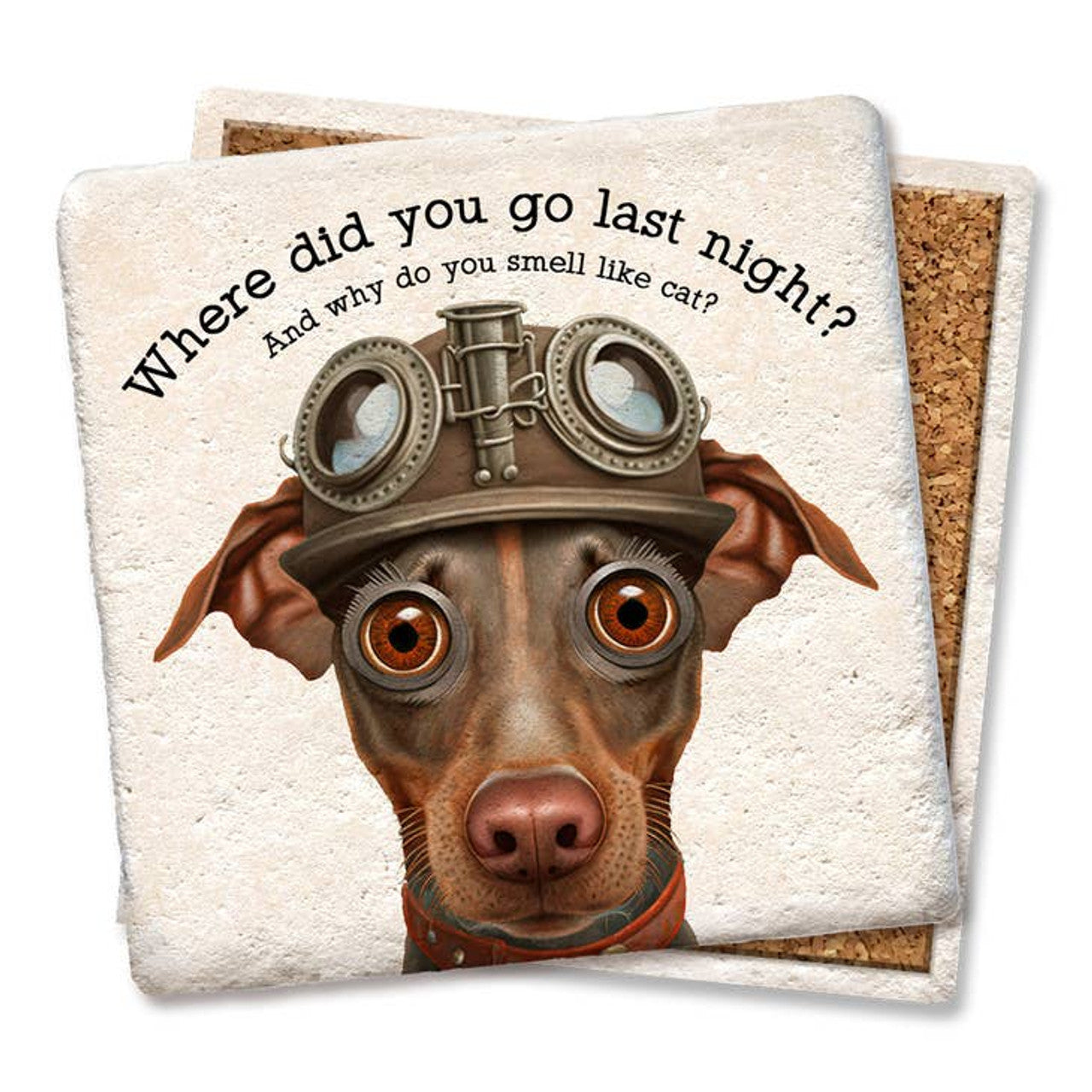 Drink Coaster - Where did you go last night?