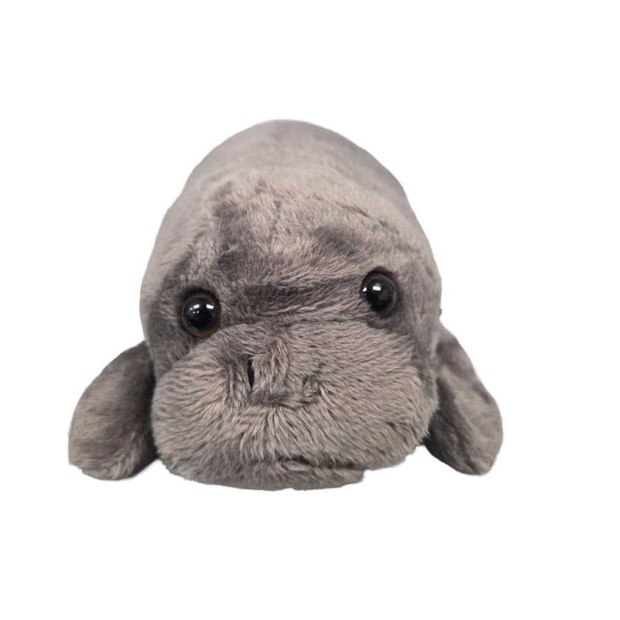 Plush toy seal on a white background