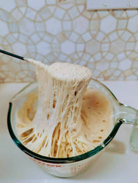 My Rustic Roots - Organic, Non-GMO Sourdough Starter | Freeze Dried |  12gm