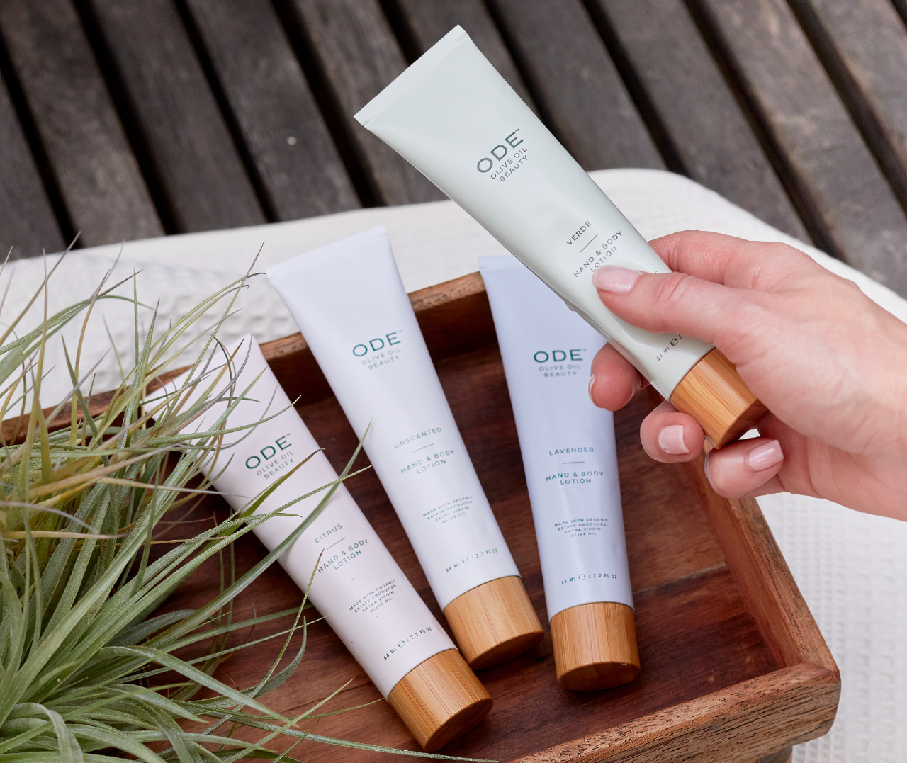 McEvoy Ranch - ODE Olive Oil Beauty Hand & Body Tube Lotion Mixed Case