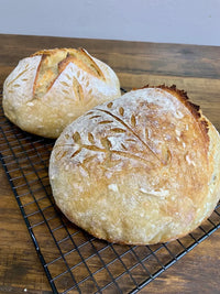 My Rustic Roots - Organic, Non-GMO Sourdough Starter | Freeze Dried |  12gm