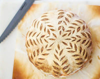 My Rustic Roots - Organic, Non-GMO Sourdough Starter | Freeze Dried |  12gm