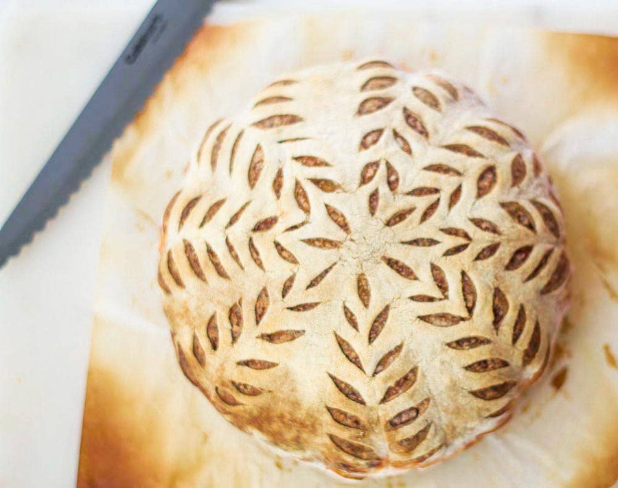 My Rustic Roots - Organic, Non-GMO Sourdough Starter | Freeze Dried |  12gm