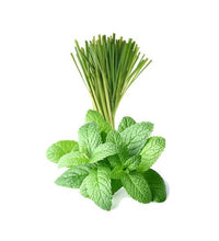 Lemongrass Mint White Balsamic Vinegar