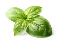 Basil Olive Oil