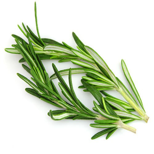 Rosemary Fused Olive Oil