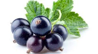 Black Currant Dark Balsamic Vinegar