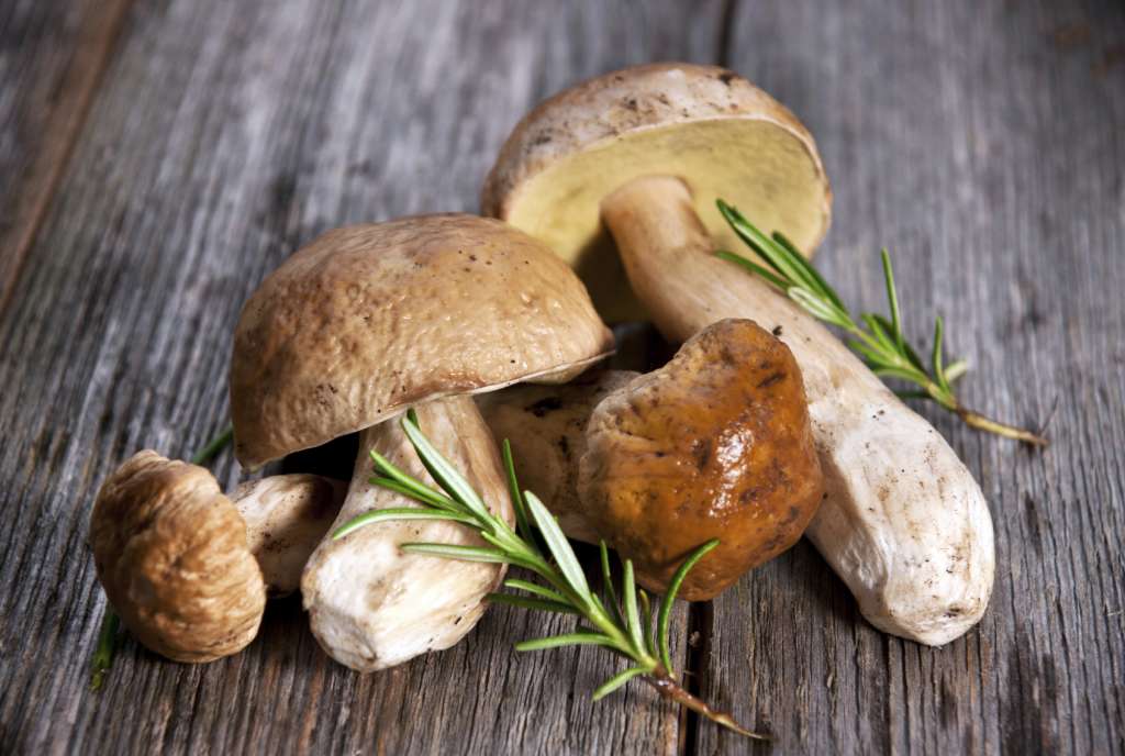 Porcini Mushroom Olive Oil
