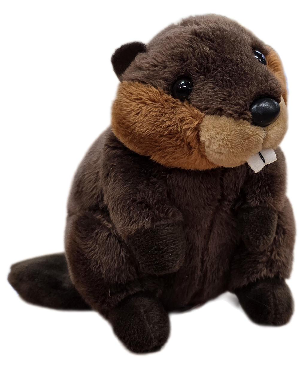Canned Gifts - Chipper the Canned Beaver | Stuffed Animal Plush w/Jokes: Regular Lid