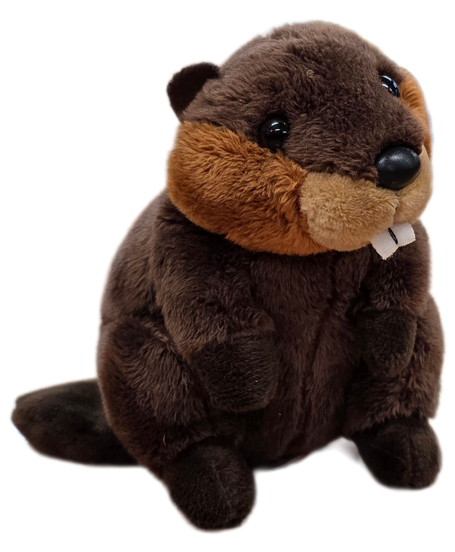 Canned Gifts - Chipper the Canned Beaver | Stuffed Animal Plush w/Jokes: Regular Lid