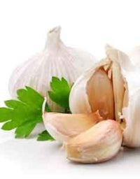 White Balsamic Condimento Vinegar - Cilantro Garlic