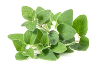 Oregano Olive Oil